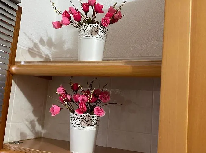 Vip アルブフェイラ